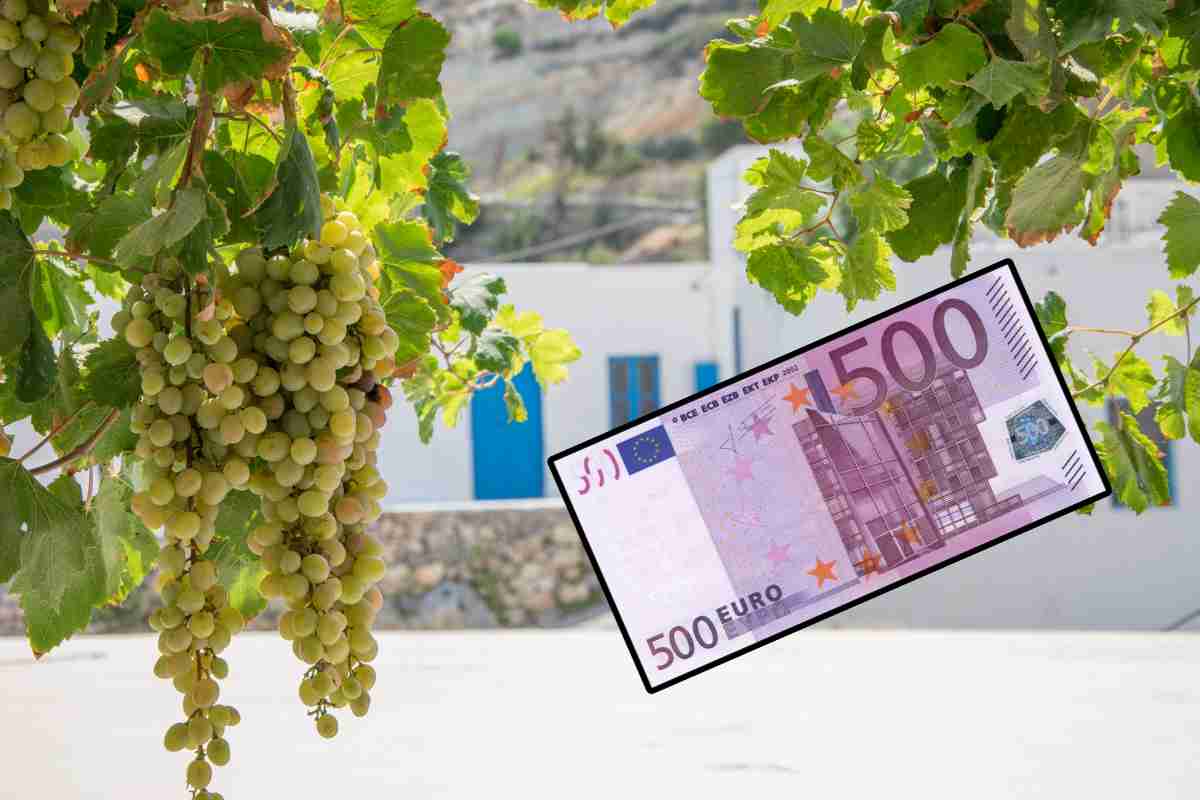 500 euro al mese grecia