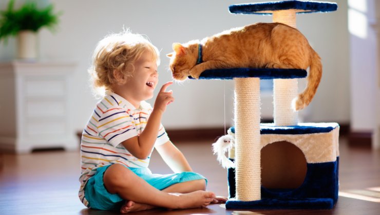 gatti e bambini non sanno bene insieme